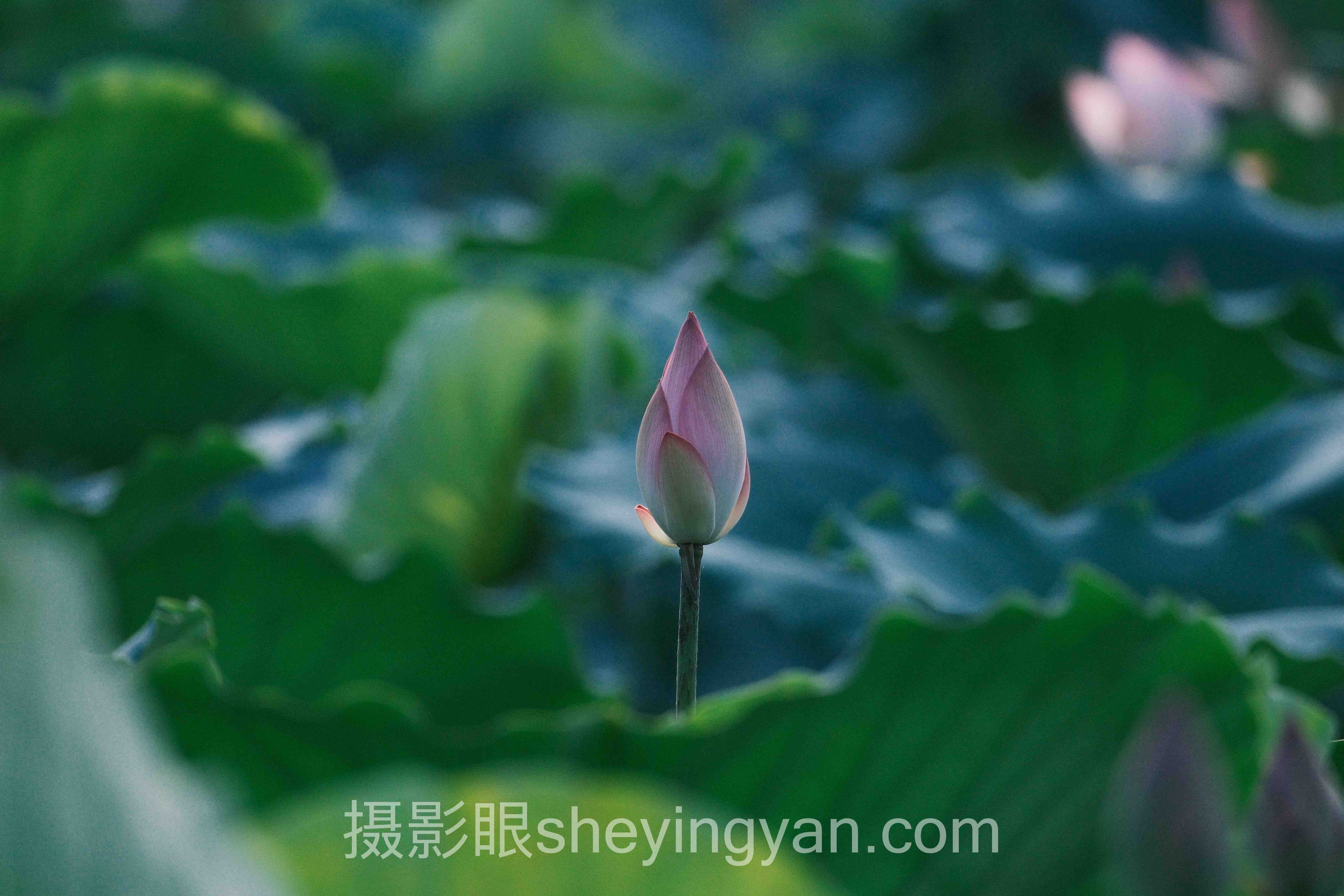 街拍摄影审美技巧怎么做？3个案例告诉你答案