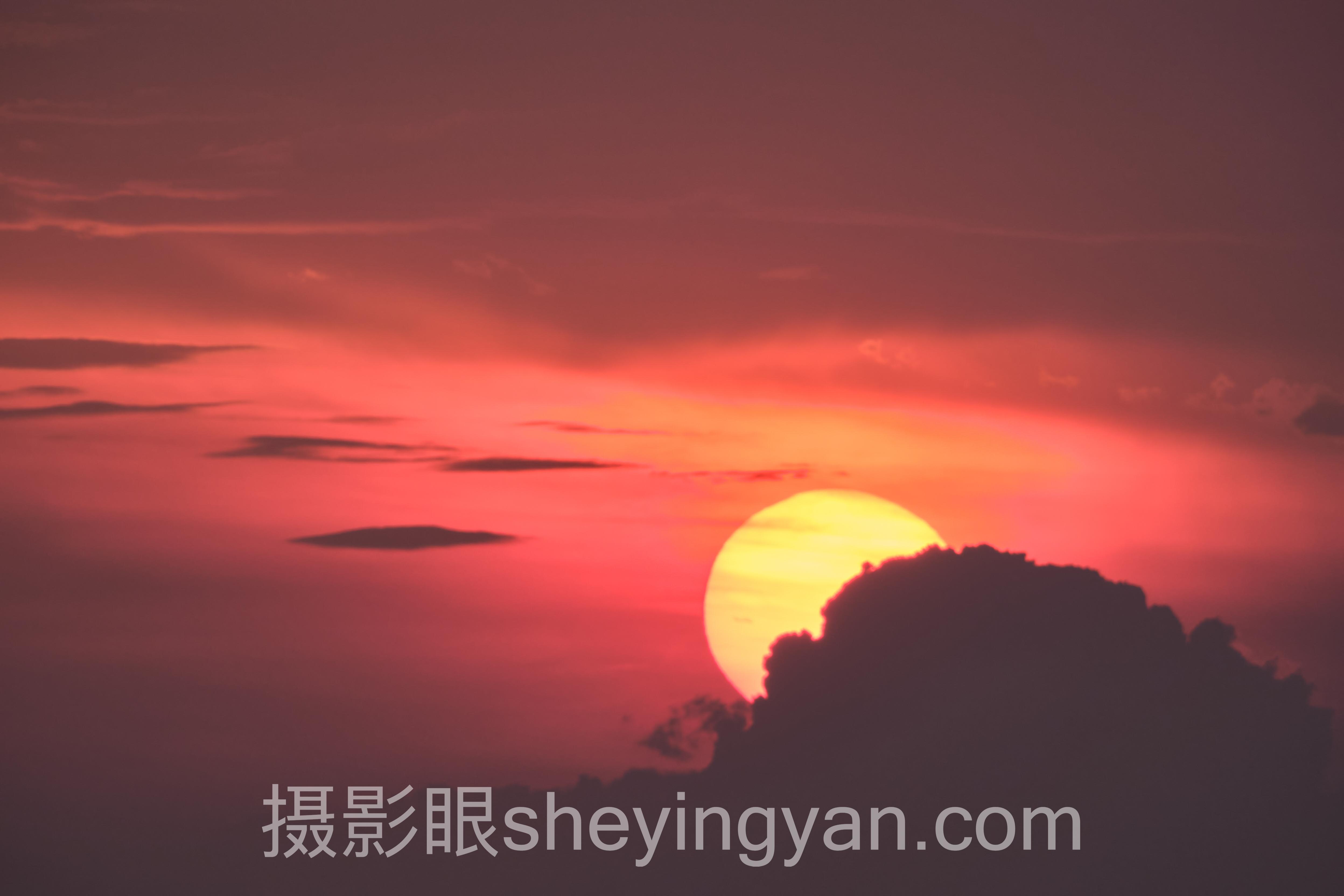 2024手机摄影眼App数据报告：关键趋势与洞察