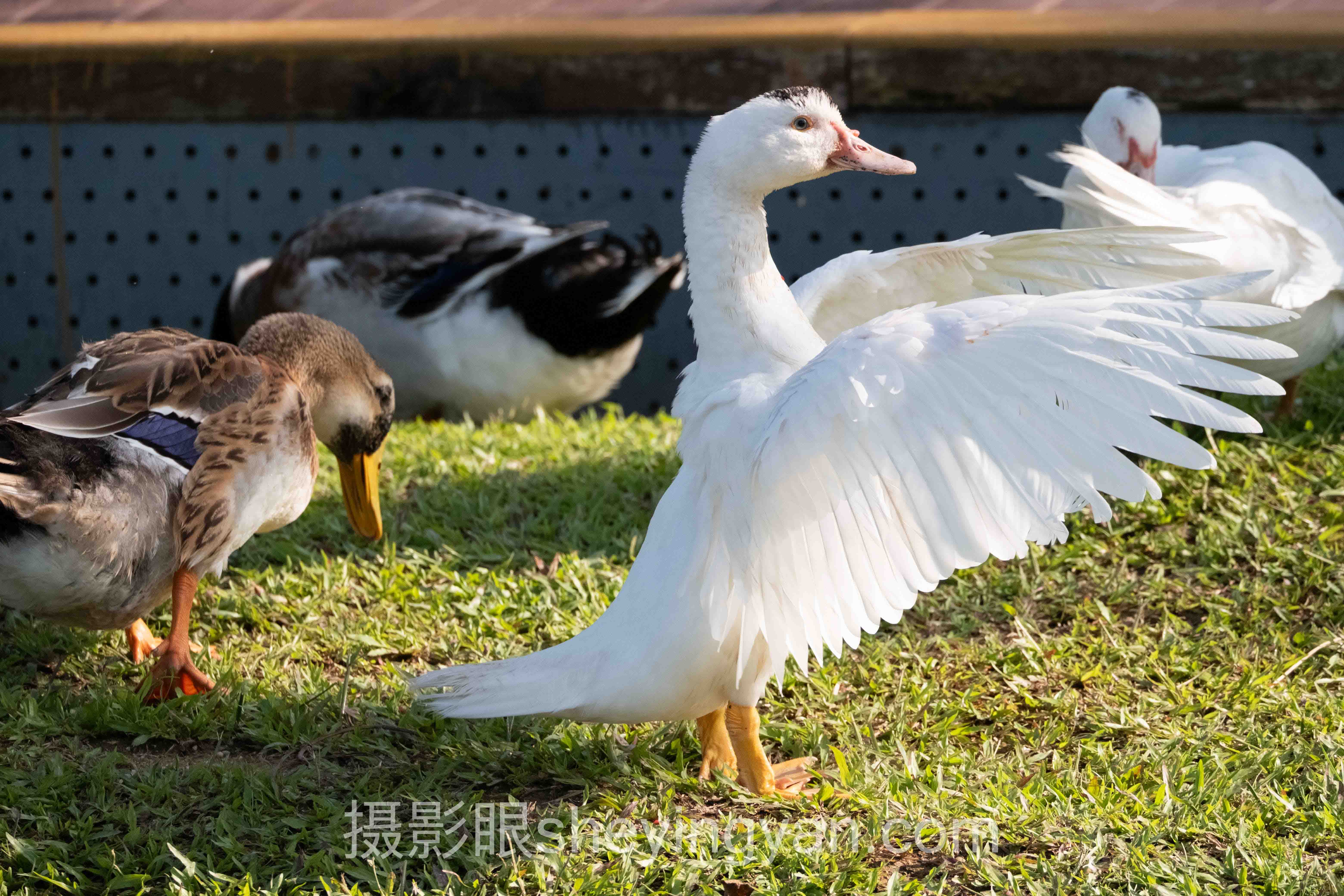 从案例看日落怎么拍：3个真实故事背后的方法论