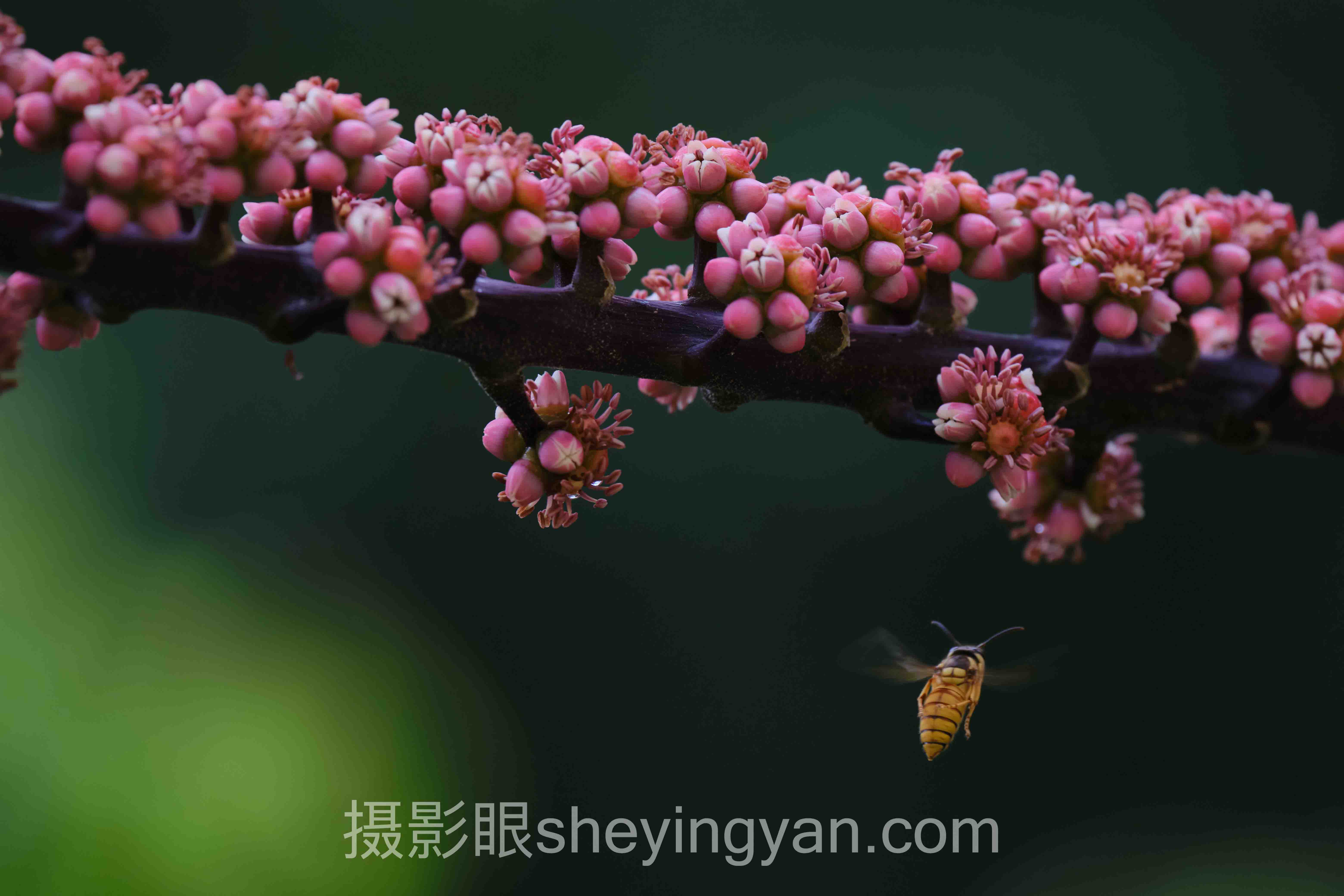 摄影新手入门需要多久？主流学习方案横向对比：哪个更适合你？