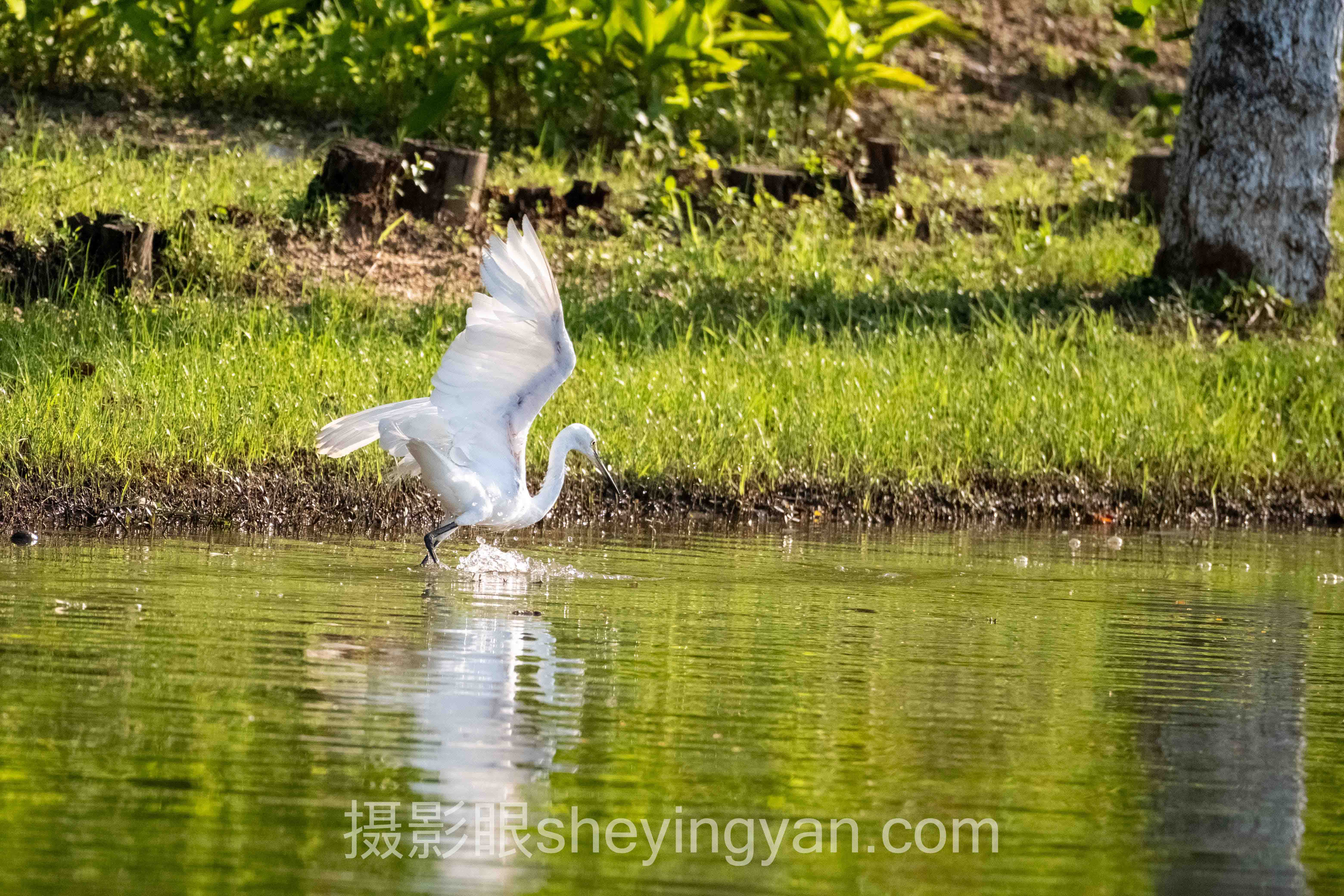 摄影眼照片点评sheyingyan.com